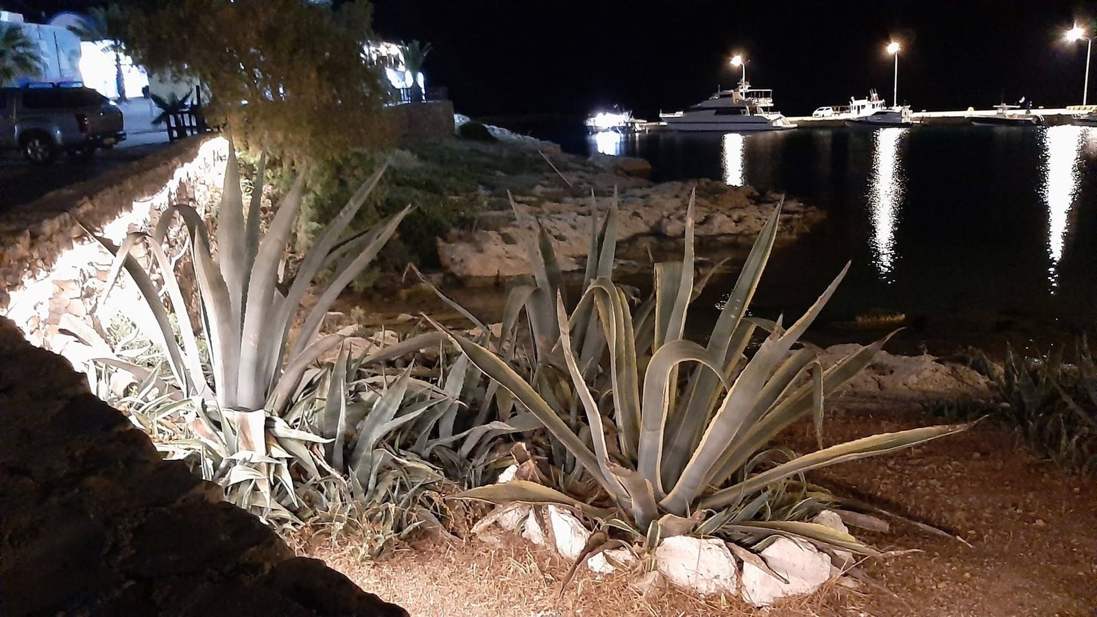 Αγαύες πάνω από το φωτισμένο λιμάνι τη νύχτα, Κάσος